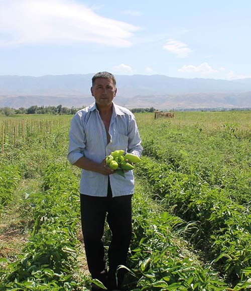 «Фермеры Чилика»: Наш позитивный опыт кооперации может быть использован во всех регионах страны