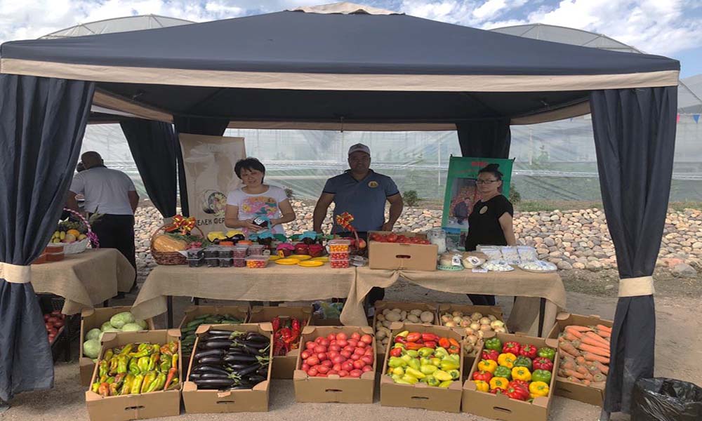 «Фермеры Чилика»: Наш позитивный опыт кооперации может быть использован во всех регионах страны