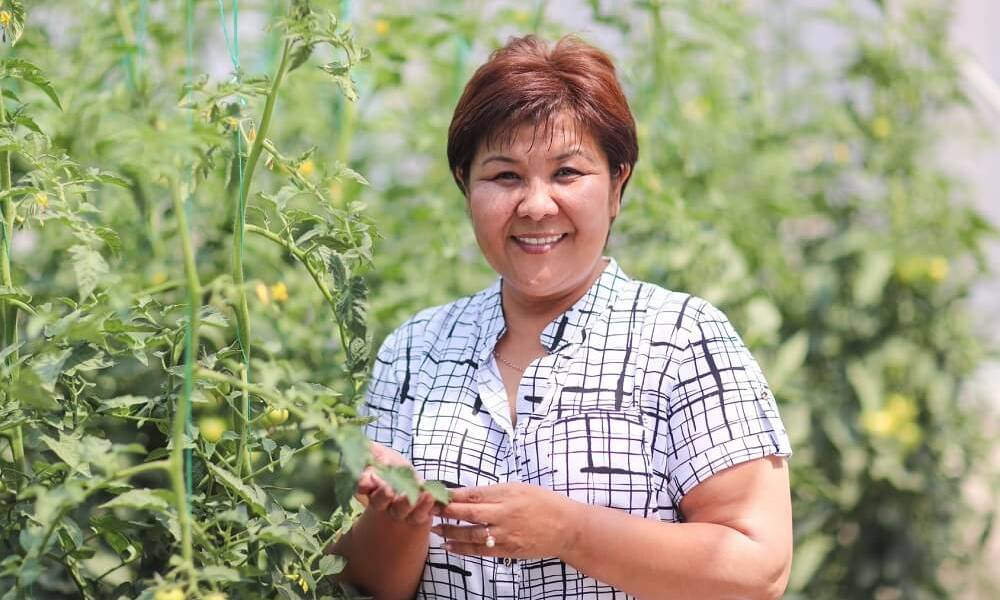 Кооперация фермеров в Алматинской области стала основой их устойчивого развития