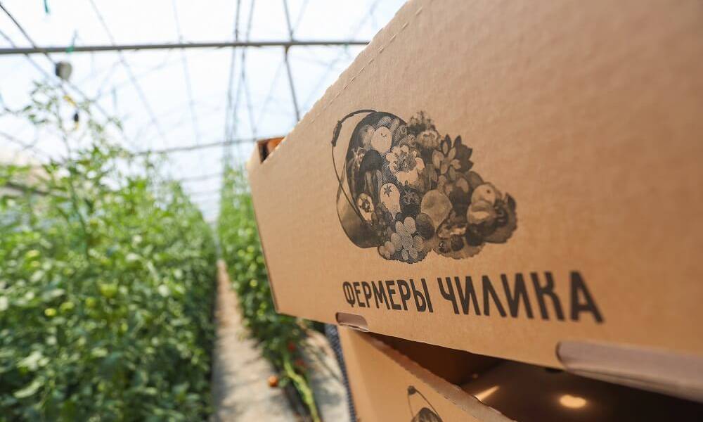 Кооперация фермеров в Алматинской области стала основой их устойчивого развития