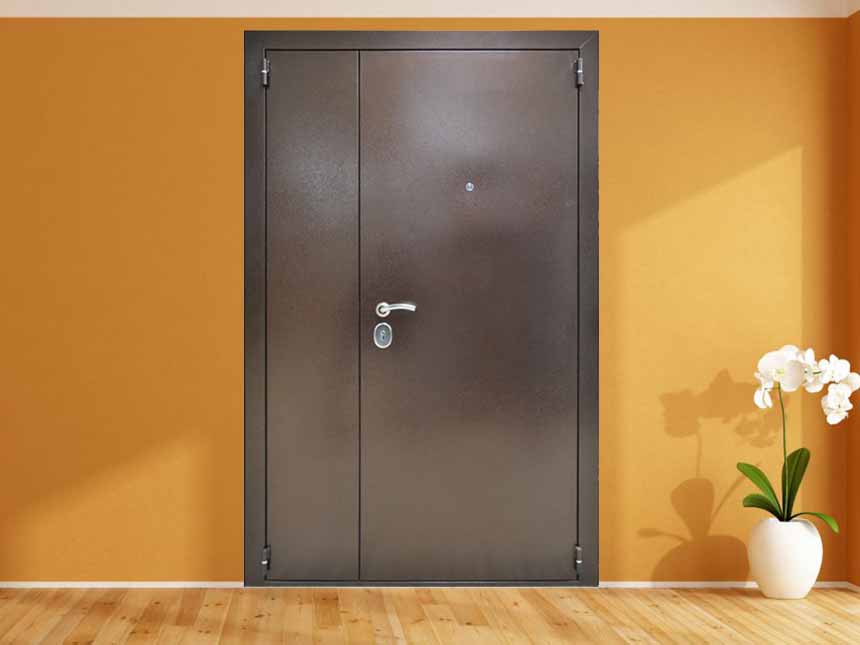 Тамбурная дверь