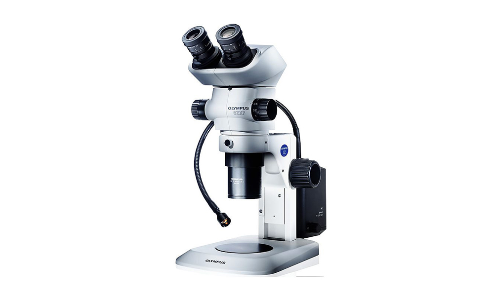 Световой микроскоп: специфика оснастки современных моделей