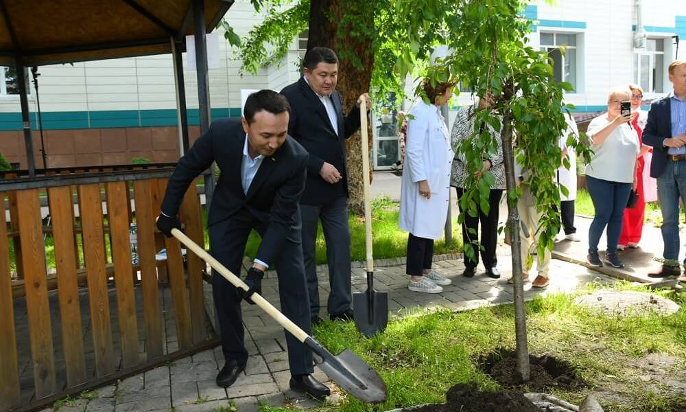 Биофармацевтическая компания Takeda посадила сакуры на территории Института онкологии (КазНИИОиР) в Алматы