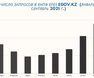 Более 80% госуслуг доступны онлайн: анализ от сервиса Tyndau.kz