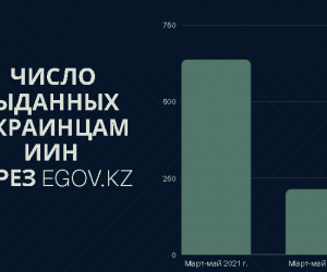 Более 80% госуслуг доступны онлайн: анализ от сервиса Tyndau.kz