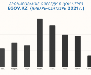 Более 80% госуслуг доступны онлайн: анализ от сервиса Tyndau.kz