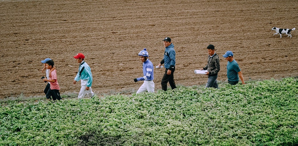 Первая байга в истории международного фонда имени Д.А.Кунаева