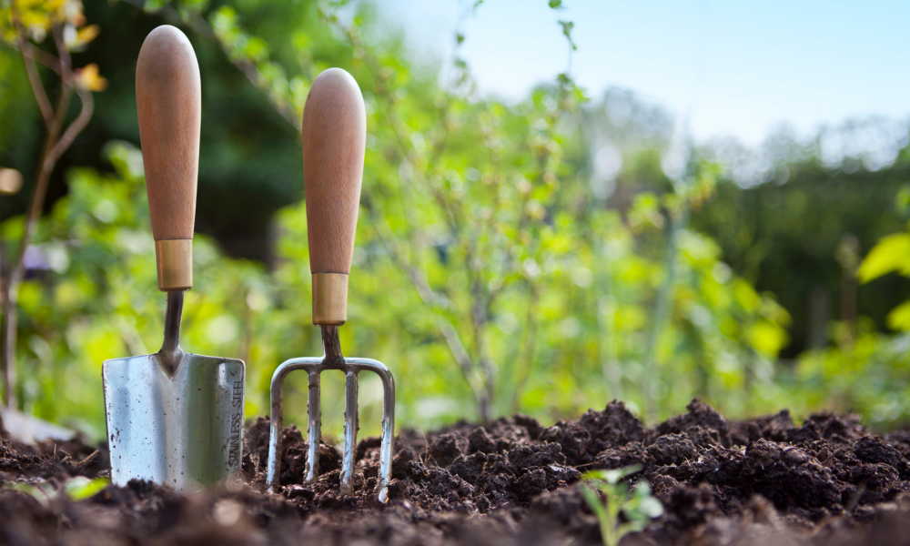 Дачный сезон: продажи товаров для садоводства на AliExpress увеличились на 34%