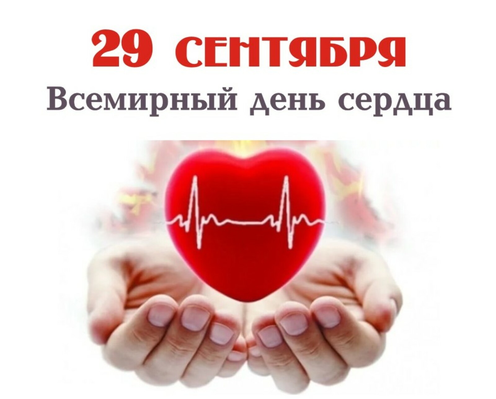 Во Всемирный день сердца – о том, как защитить уязвимые группы населения Казахстана