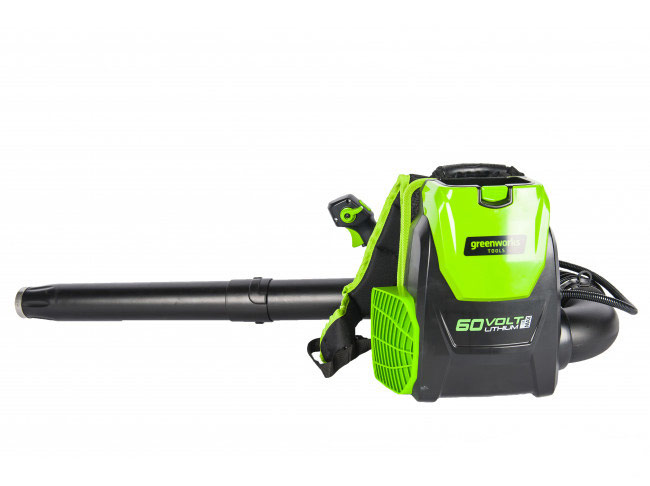 Осенняя листва не проблема: воздуходувы Greenworks для порядка на даче