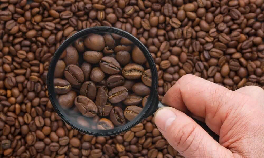 Купить зерновой кофе: путеводитель по миру ароматов
