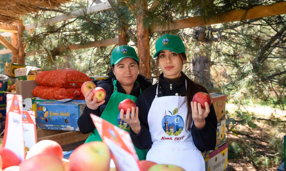 Фестиваль Apple Fest в Алматы: рекордный яблочный компот, концерт, ярмарка и кино