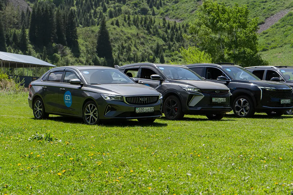 «Чистые горы»: экологическая акция участников Geely Community в предгорьях Алматы