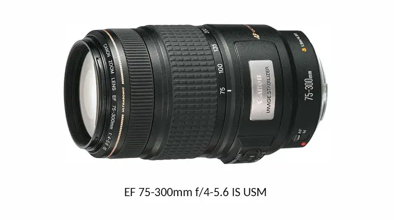 Объем производства объективов Canon RF/EF превысил 170 миллионов единиц, что подтверждает мировой рекорд компании по производству сменных объективов