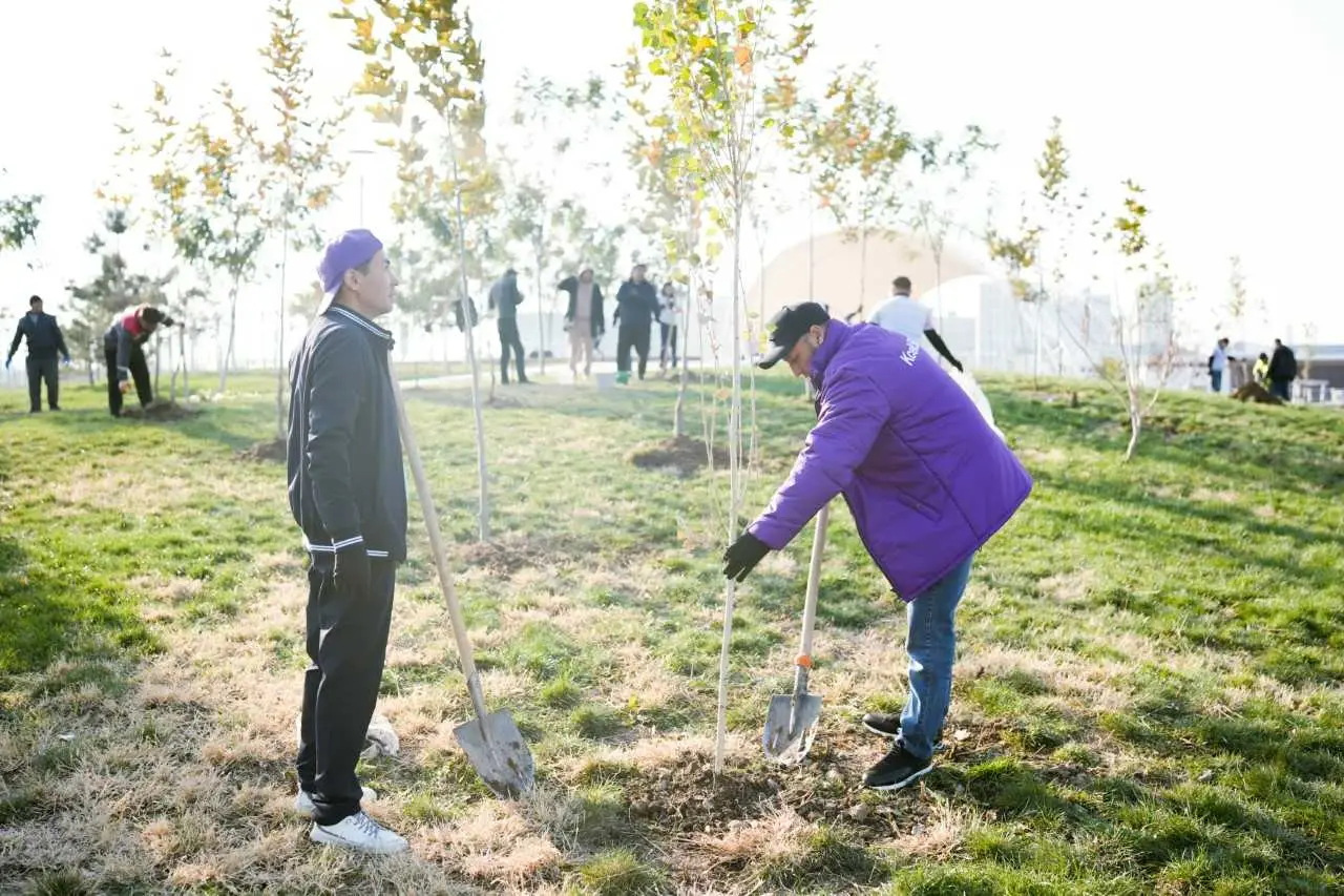 Kcell завершил осенний этап инициативы «Таза Қазақстан»: более 350 деревьев высажено в трех городах страны