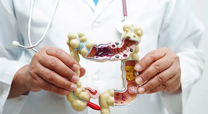 Безопасное использование желудочно-кишечных препаратов: почему важна консультация врача Безопасное использование желудочно-кишечных препаратов: почему важна консультация врача