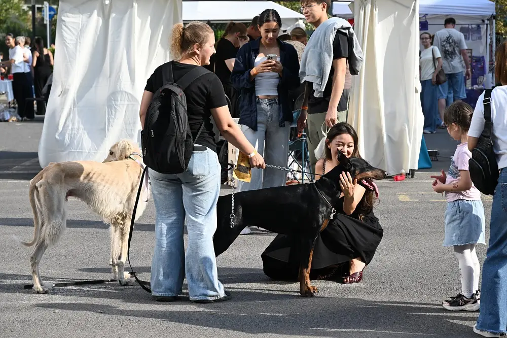 Шестой Pet Fest в Алматы собрал 5 300 гостей Шестой Pet Fest в Алматы собрал 5 300 гостей